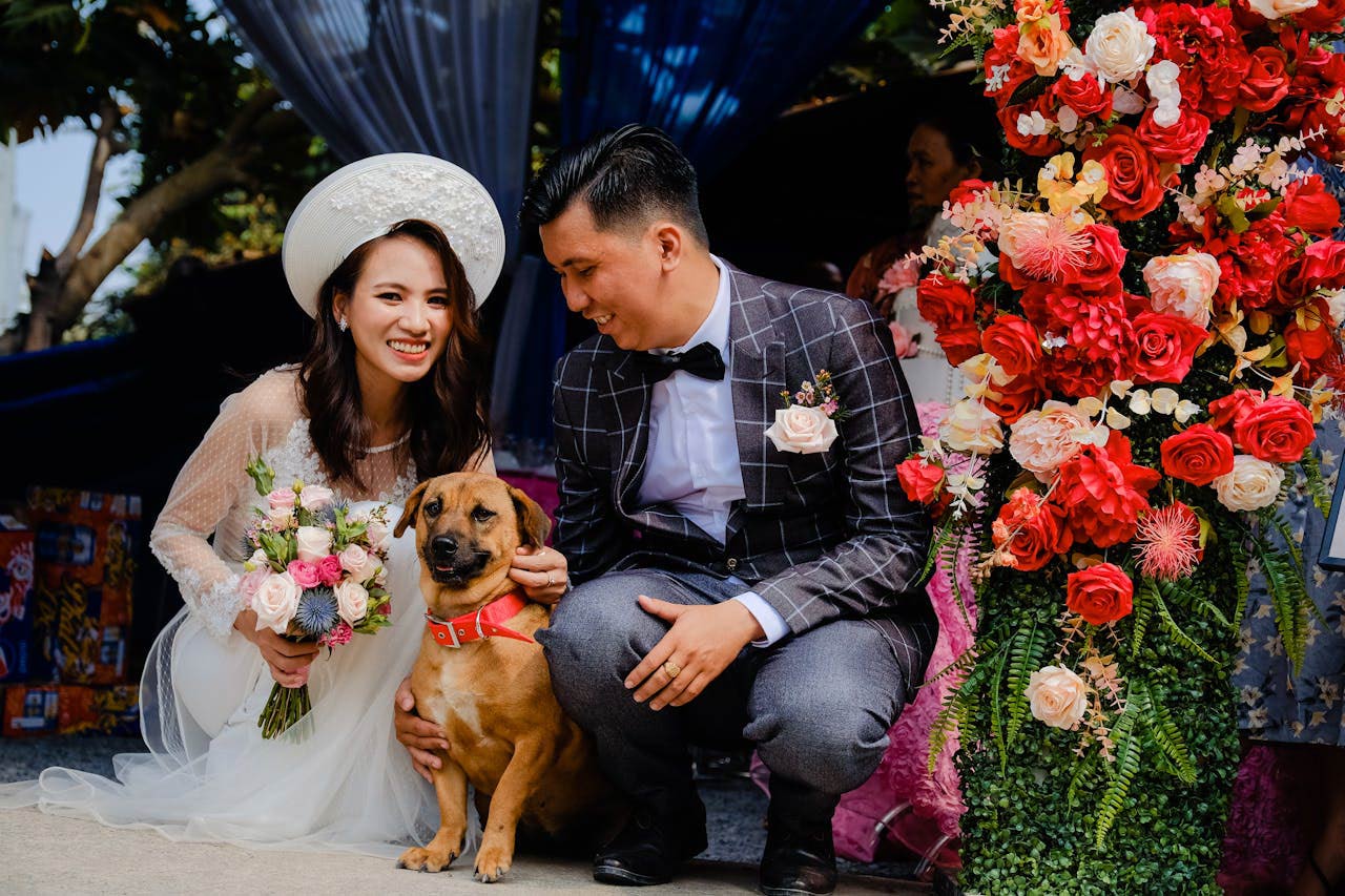 wedding-safety-tips-for-dogs